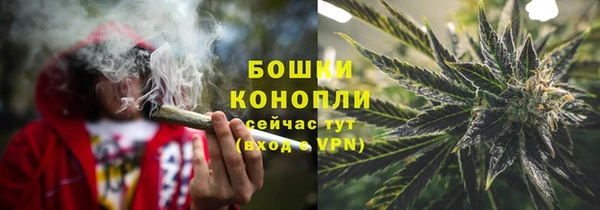 прущие грибы Елизово