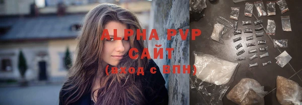 прущие грибы Елизово