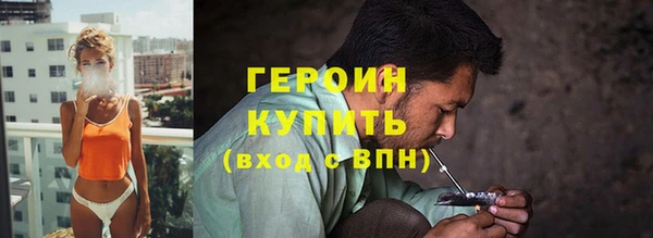прущие грибы Елизово