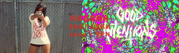 прущие грибы Елизово