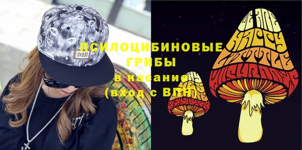 прущие грибы Елизово