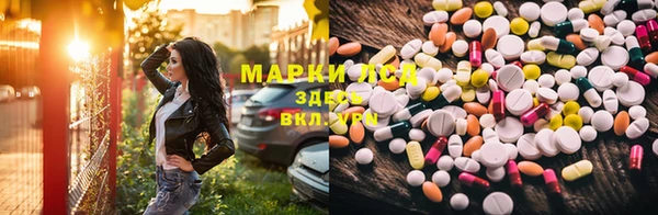 прущие грибы Елизово
