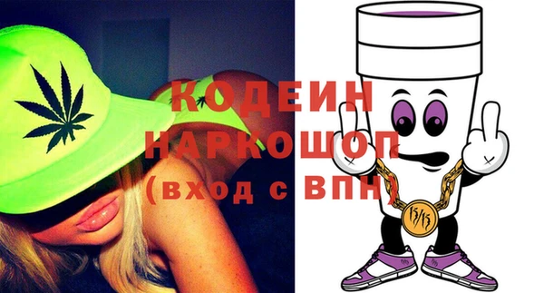 прущие грибы Елизово