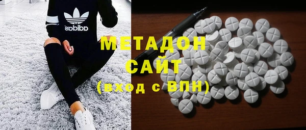 прущие грибы Елизово