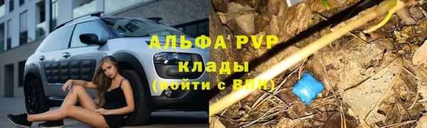 гидропоника Елабуга