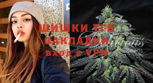 прущие грибы Елизово