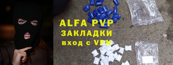 прущие грибы Елизово