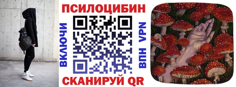 Купить Певек Галлюциногенные грибы мицелий
